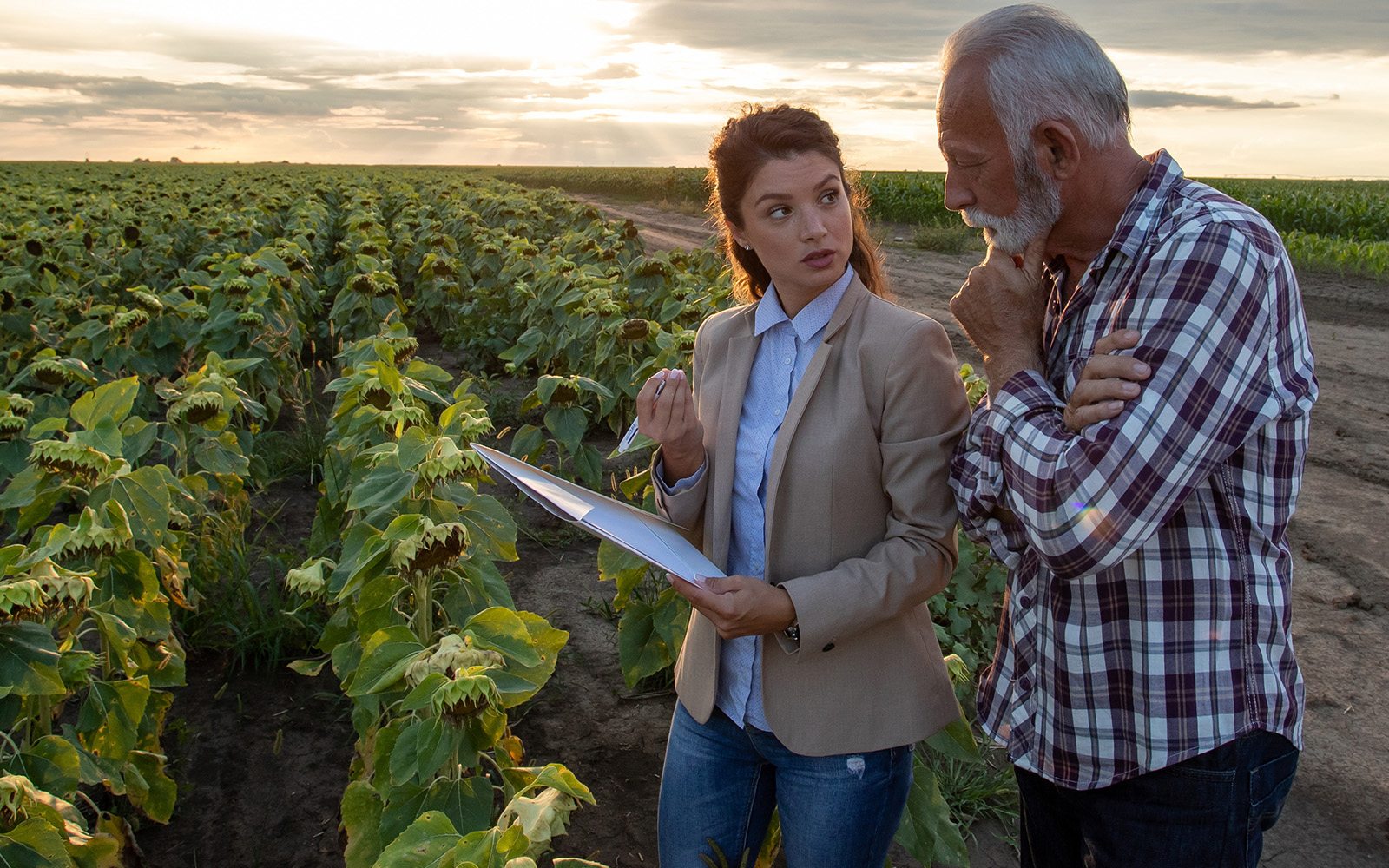 Sector agroalimentario